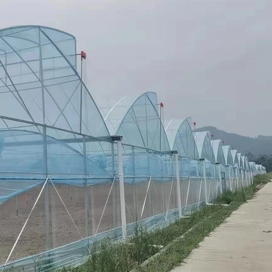 Instalación rápida de acero galvanizado en caliente el esqueleto Poly-Tunnel Casa Verde con techo cenital para una buena ventilación para las Verduras