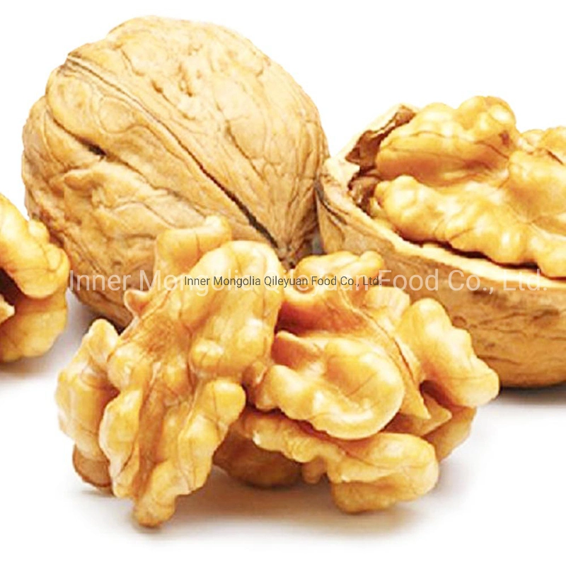 Cheap Wholesale/Supplier Price Top Quality Walnuts Chandler Inshel Walnuts