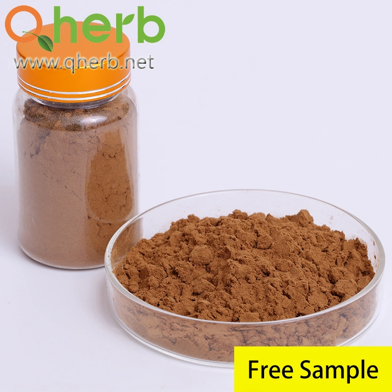 High-Quality Lingzhi Food Grade Coffee Ganoderma Lucidum Reishi Mushroom Spore Extract Powder for Functional Food and Pharmaceutical Stuff