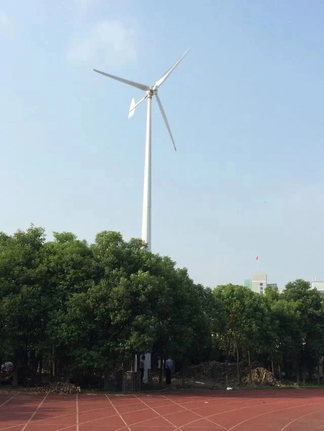 Manufacturer of 10kw 220/380V Wind Turbine