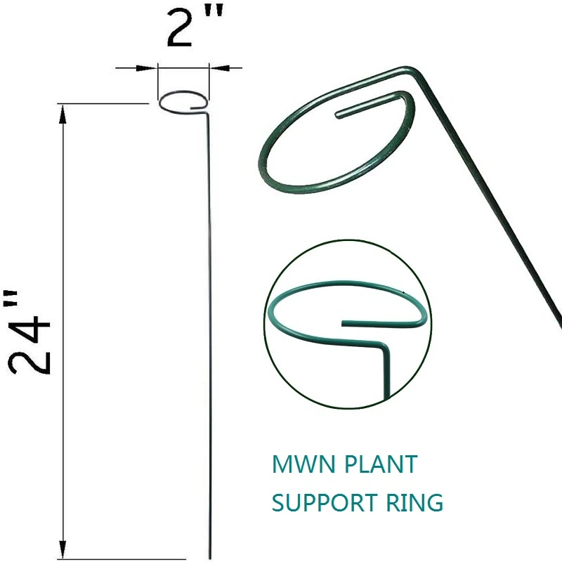 Customized Circle Top Ring Shape Wire for Plant Orchids