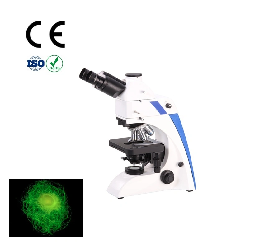 Hilera de trefilado de inspeccionar microscopio binocular Microscopio de fluorescencia de imágenes para microscopios de fibra