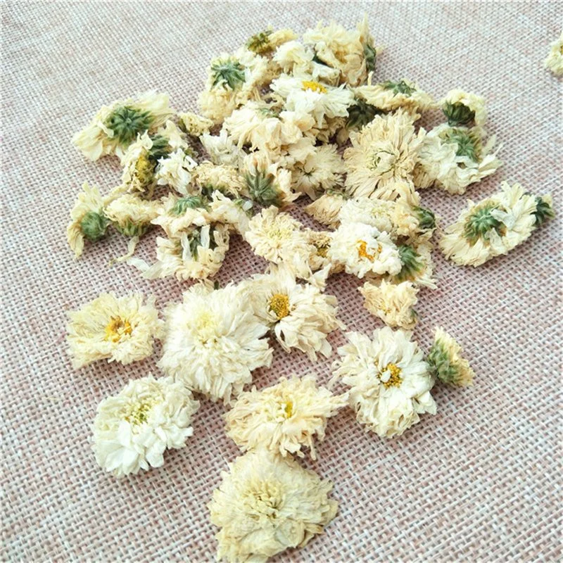 Hang Bai Ju Hochwertige Gesunde Kräutertee Chrysantheme Dred Tee