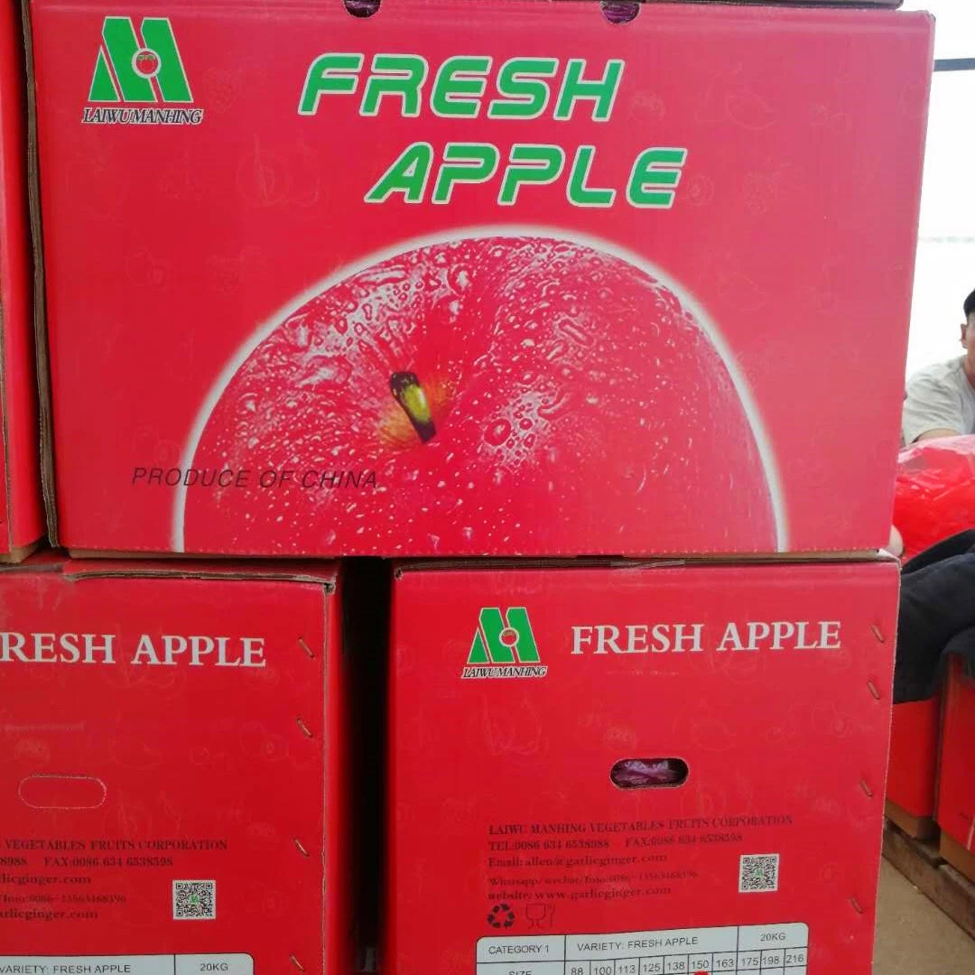 Fresh Delicious Tasty Paper Bag Red Gala Apple