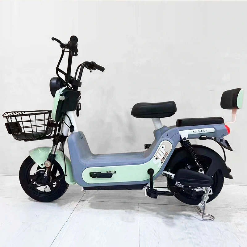 2022 Neues Design CE 750W 48V Hinterer Nabenmotor 20 Inch Vintage E-Bike Fat Tire E-Bike mit Rücksitz