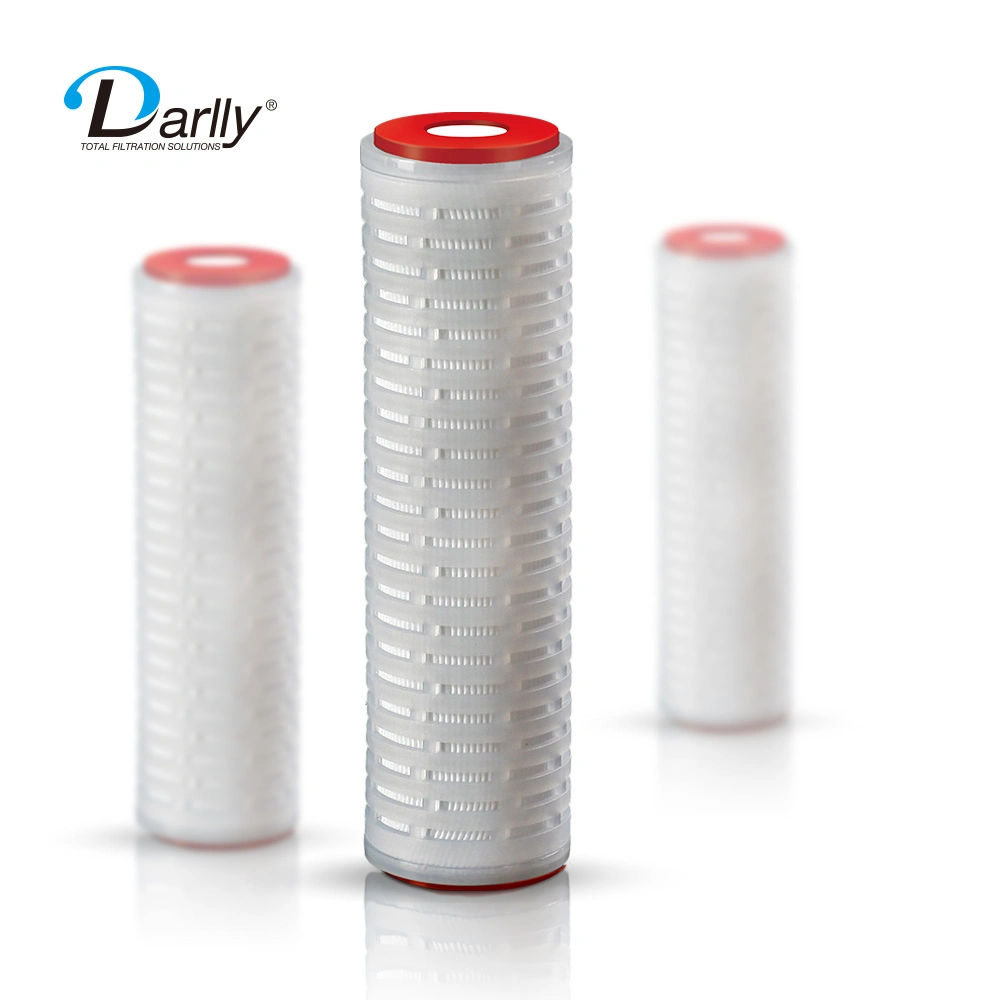 Darlly 0.45+0.22um High Safety Double Layer Polyethersulfone (PES) Membrane Pleated Filter Cartridgefor Final Sterile Filtration