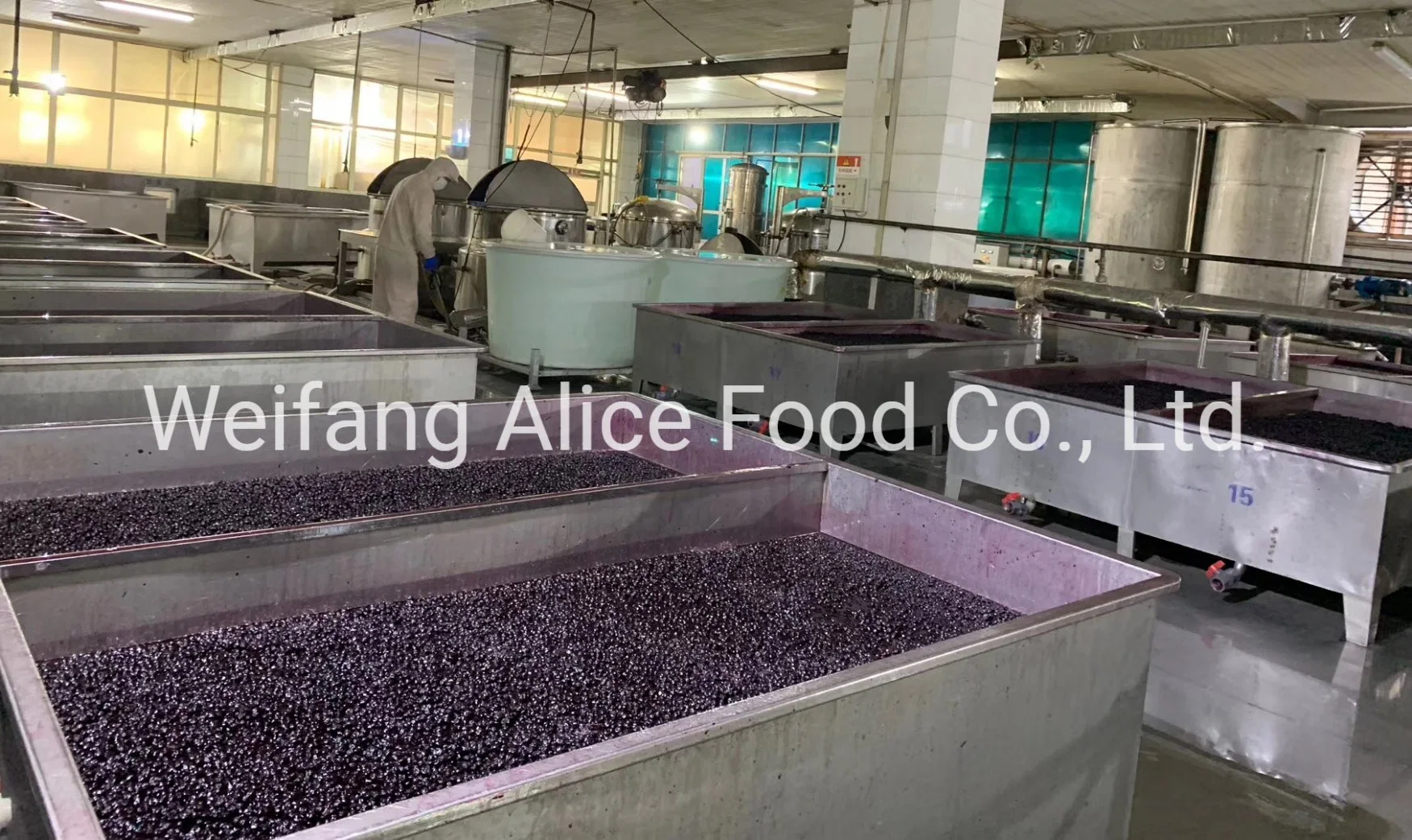 Wholesale/Supplier Natural and Organic Dried Blueberry Healthy Preserved Blueberry