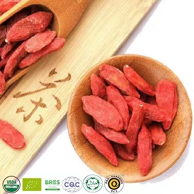 Baya Goji orgánica certificada por NOP de Qinghai