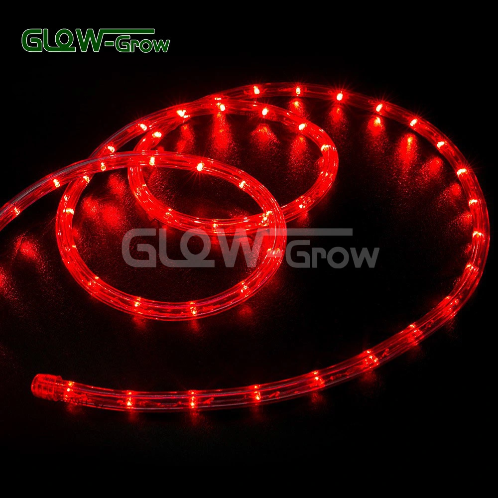 100m Per Roll Flexible UL ETL LED Rope Light for Christmas Holiday Xmas Event Decoration