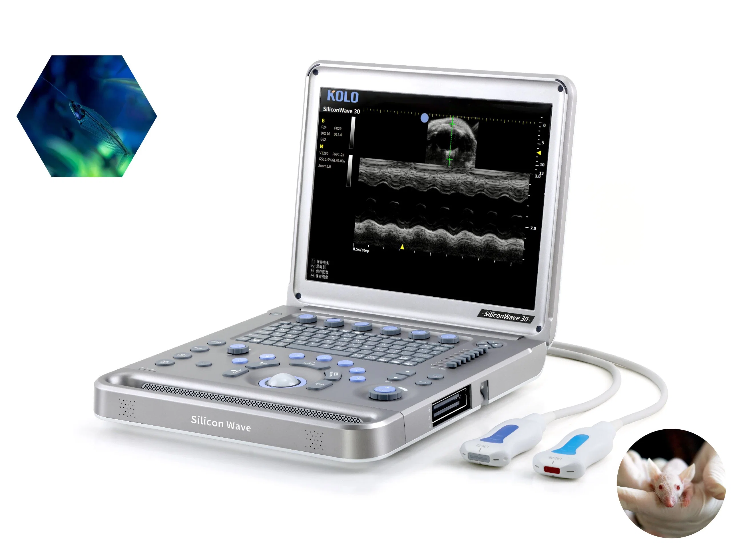 B/C Mode Lab Animal Portable Ultrasound Scanner