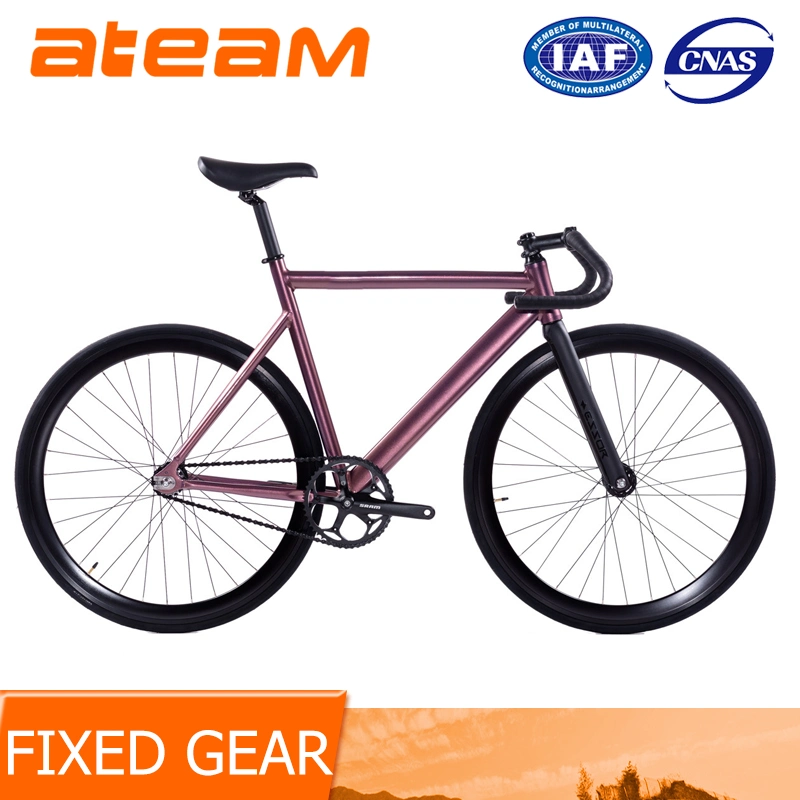 Fixed Gear Bike -Track 16 Wholesale/Supplier Aluminium Single Speed Bicycle