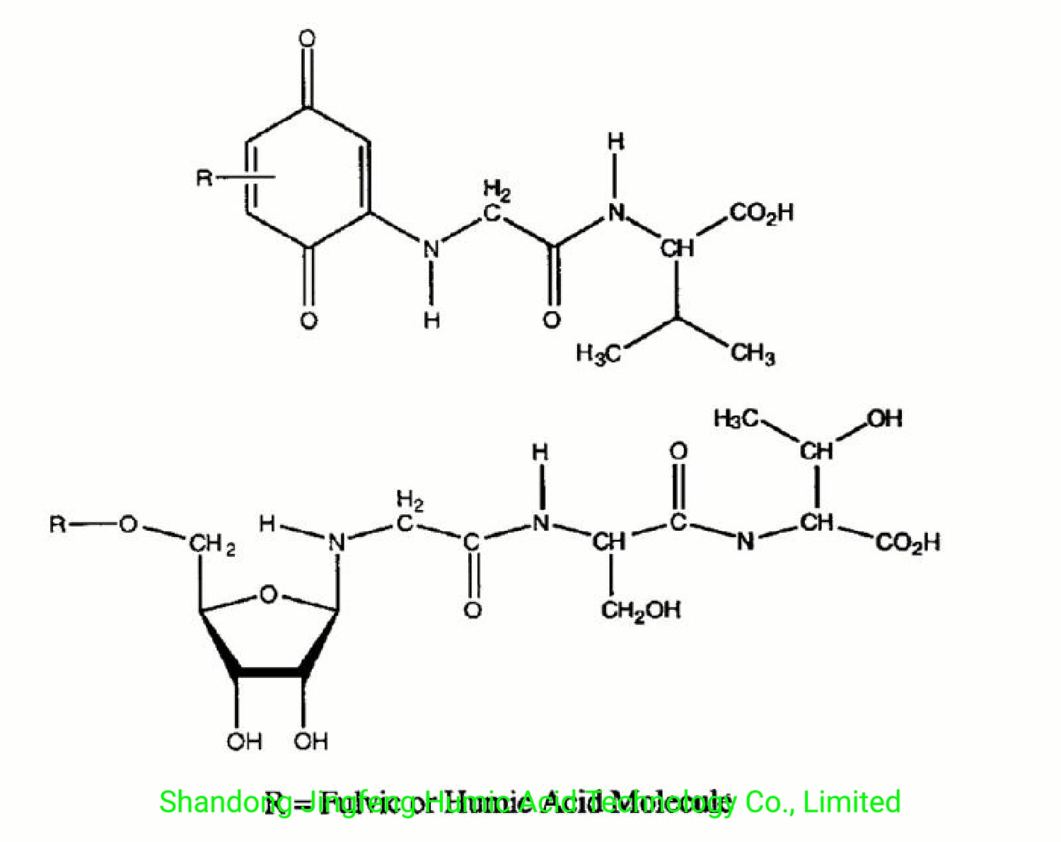 Top Quality Competitive Price Organic Foliar Fertilizer Potassium Humic