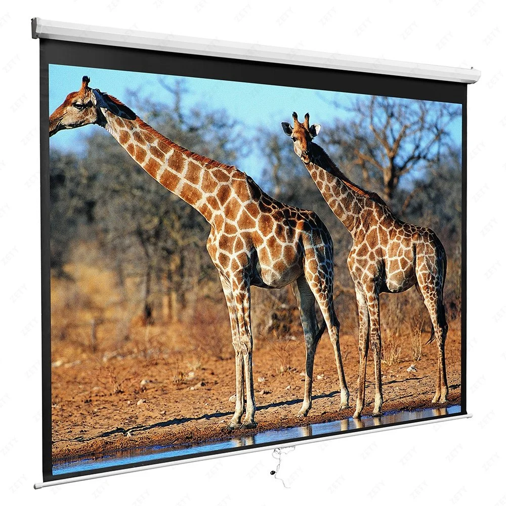 80"x80" Tela Manual com fibra de vidro branco fosco, de alta qualidade