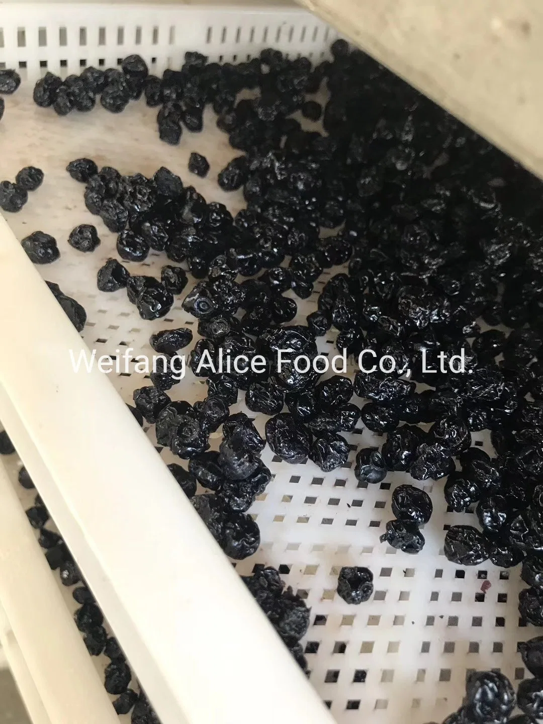 Whole Sale Factory Good Quality Blueberry Whole Blueberry Fruit