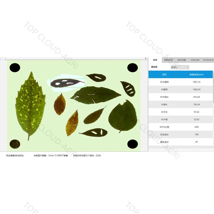 Интеллектуальный анализ площади листьев и измерительной системы