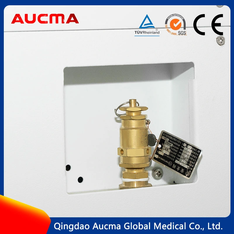 60L Vertical Autoclave Steam Pressure Sterilizer Bxm-60fi Dental Equipment Medical Instrument