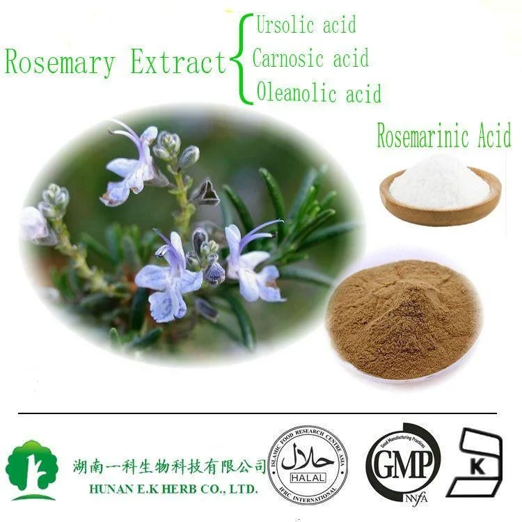 E. K Herb Rosemary Herbal Extract Natural Rosemary P. E. Powder Rosmarinic Acid 5%-98% Ursolic Acid 5%-98% Carnosic Acid 5%-95%