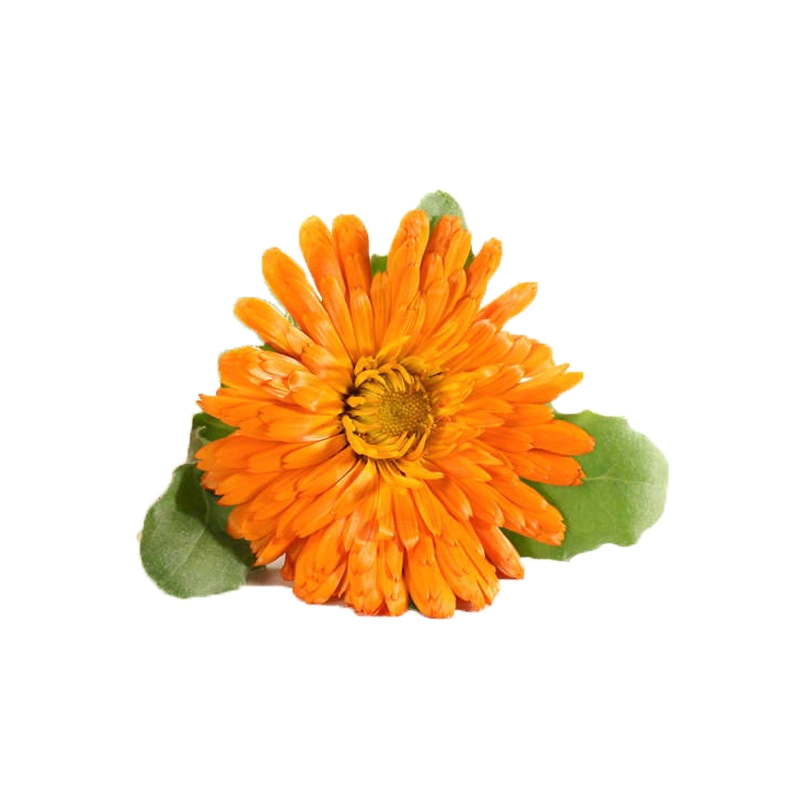 Natural Antioxidant Marigold Extract Zeaxanthin 10%~50% CAS No.: 127-40-2