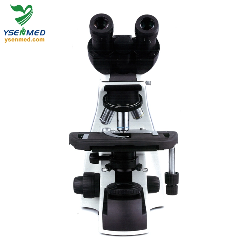 Medical Equipment Ysxwj-Bx-301b Medical Use Digital Binocular Video Microscope