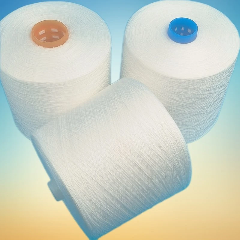 Factory Wholesale/Supplier Raw White Ne20 to Ne60 Spun Polyester Sewing Thread