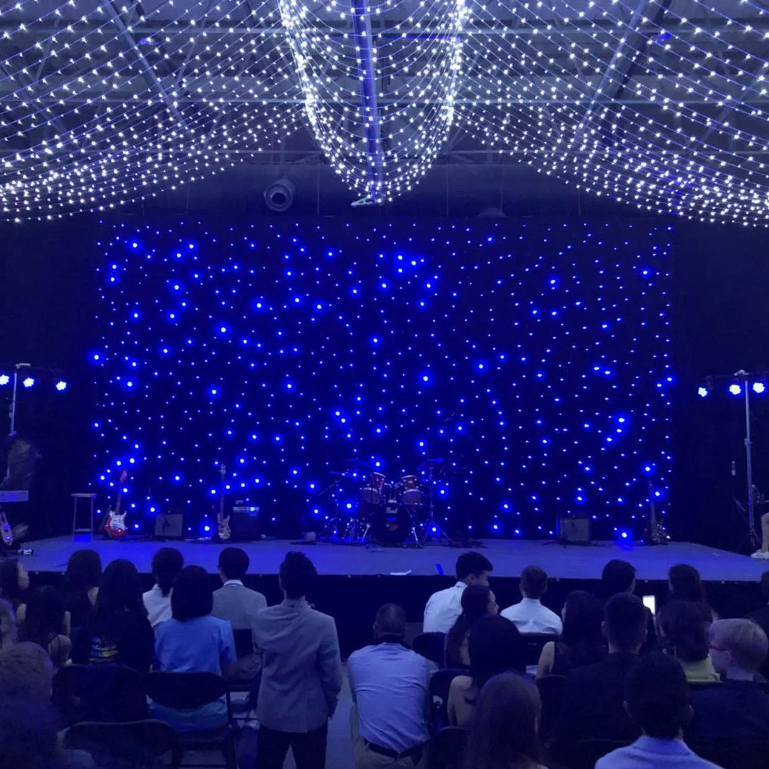 Wedding Party Ceremony Cloth Bright LEDs Twinkle Strobe Blue and White Color LED Star Curtain