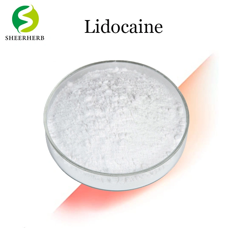 Pharmazeutische Intermediate Lidocaina Pulver mit hoher Qualität Schmerzlinderung Lidocain Pulver