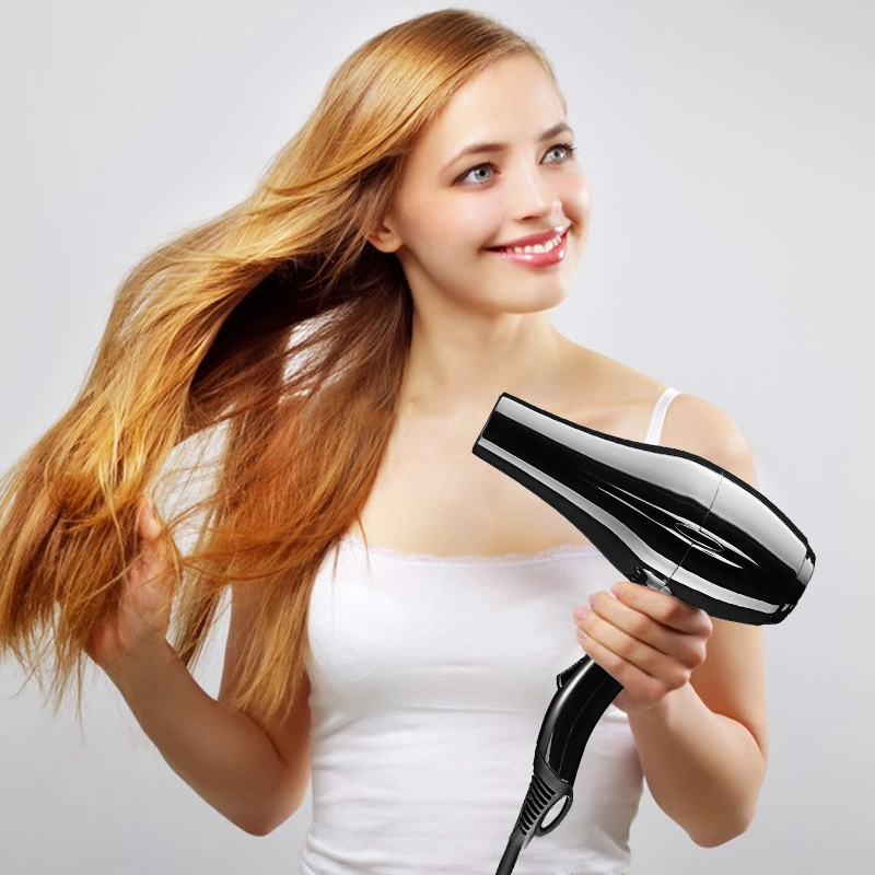 Professional Classic Design Salon Fashion High quality/High cost performance  Hair Dryer