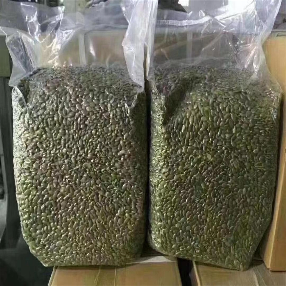 Inner Mongolia Wholesale/Supplier Pumpkin Seed Kernels Shine Skin/ Gws