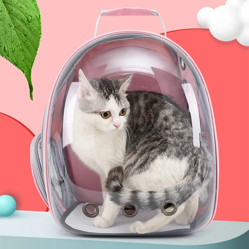 Großhandel/Lieferant Atmungsaktive Transparent Haustier Katze Hund Reise Träger Tragekorb Rucksack Tasche