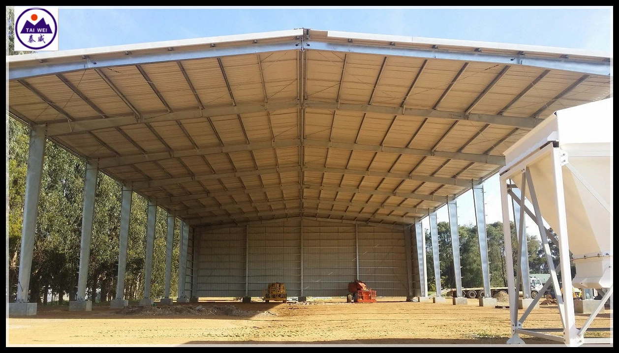 Basra Steel Structural Steel Fabrication Modern Portable Building (TW815J)