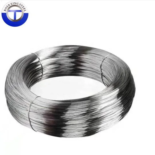 Fishery Lashing 7X7 7X19 1X7 1X19 6X7+FC 6X19+FC Stainless Steel Cable