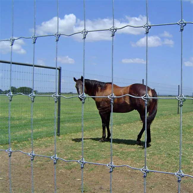 2.4*50m noeud fixe en acier galvanisé grillage de clôture de la compensation de clôture de la ferme de bovins