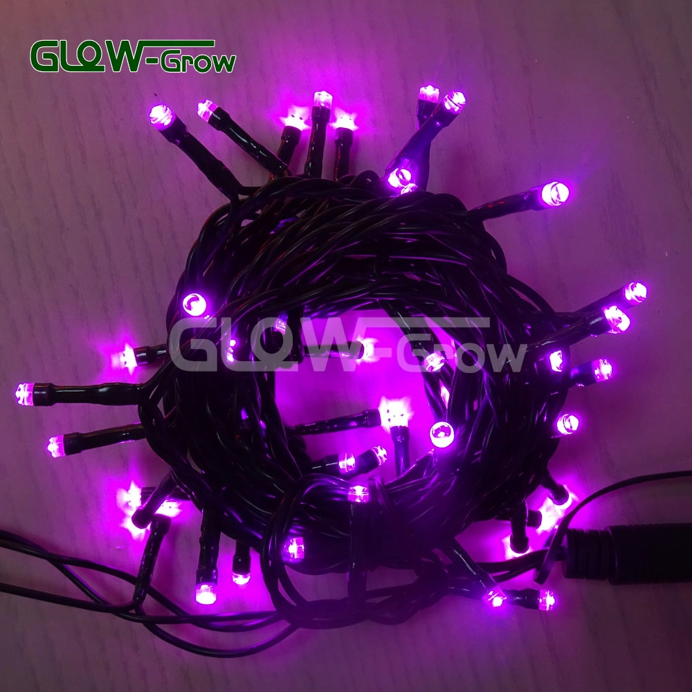 Warm White Weihnachten LED Vorhang String Licht für Party Halloween Startseite Wall Bar Restaurant Event Dekoration