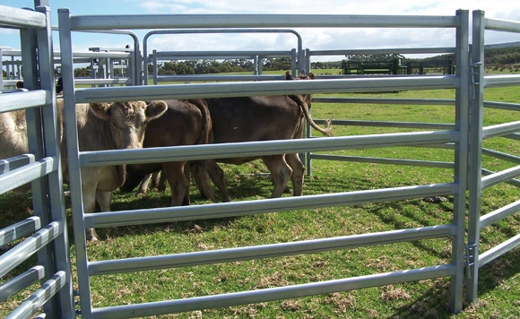 Livestock Farm Equipment Cattle Metal Fence Panel