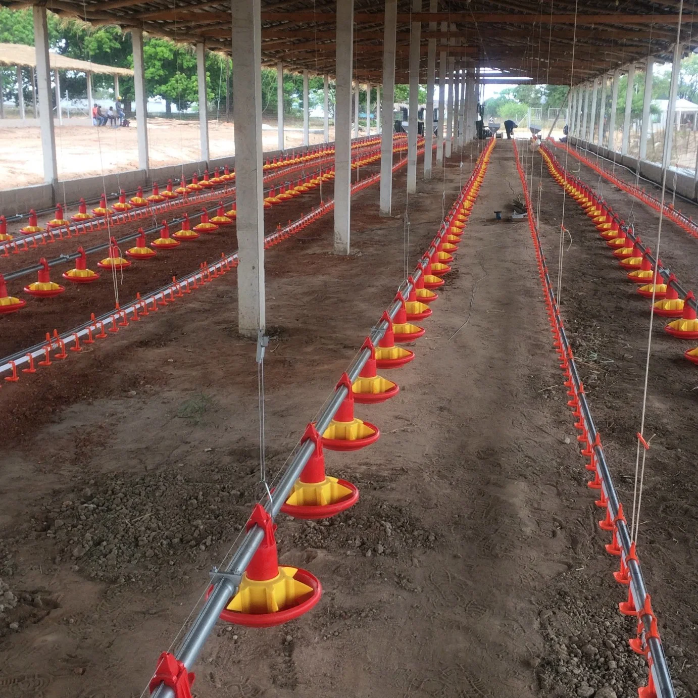 Équipement de poulet ensemble complet de haute qualité pour les poulets de chair ferme avicole automatique