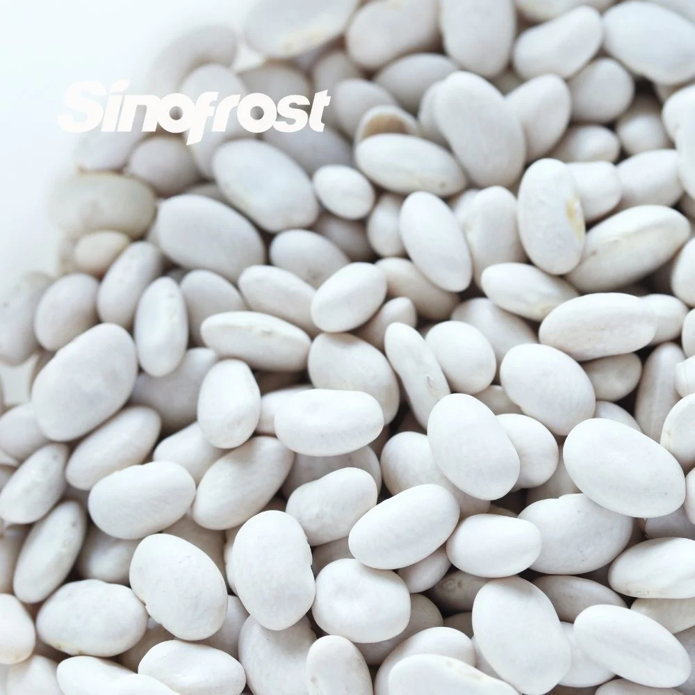 Sinofrost: Reliable IQF Frozen White Kidney Beans Bulk Supplier & Wholesale/Supplier Distributor