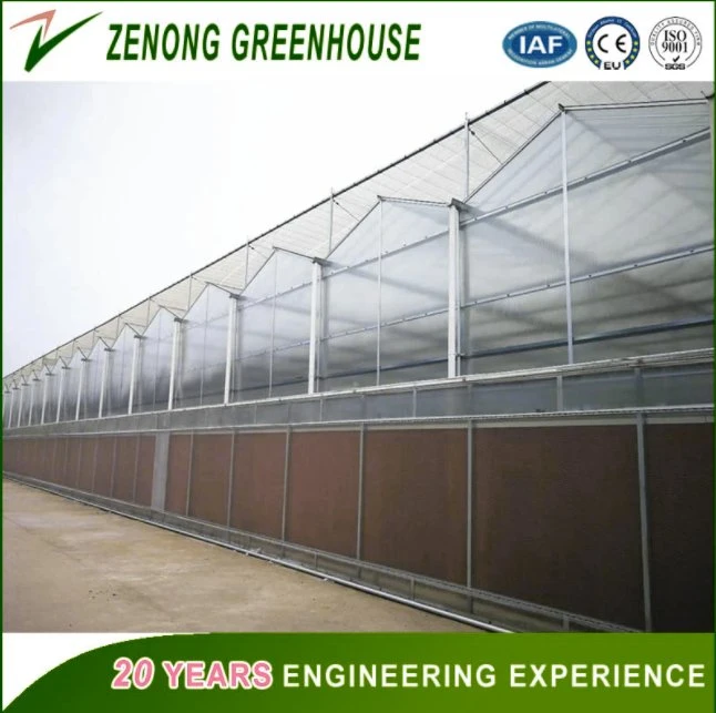 Impact Resistant PC Sheet Covered Green House for Vegetable/Crop/Flower/Fruit Planting