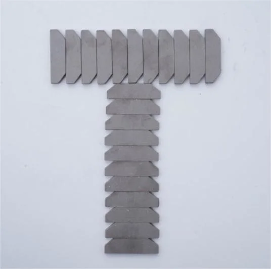 Tip Cutting Tools Manufacturer for Advanced Diamond Blade Gangsaw Segment