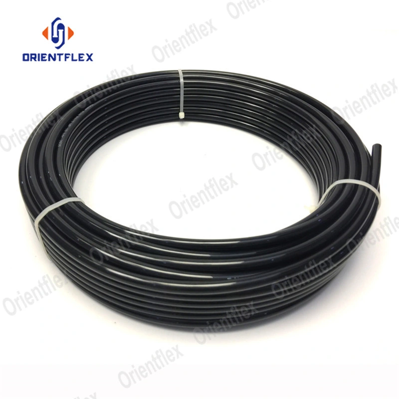 10mm Soft PA6 PA12 Black Nylon Tube Hose