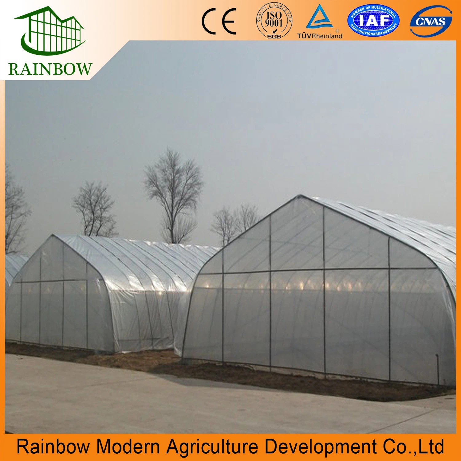 Commercial Single Span Plastic Film Tunnel Greenhouse