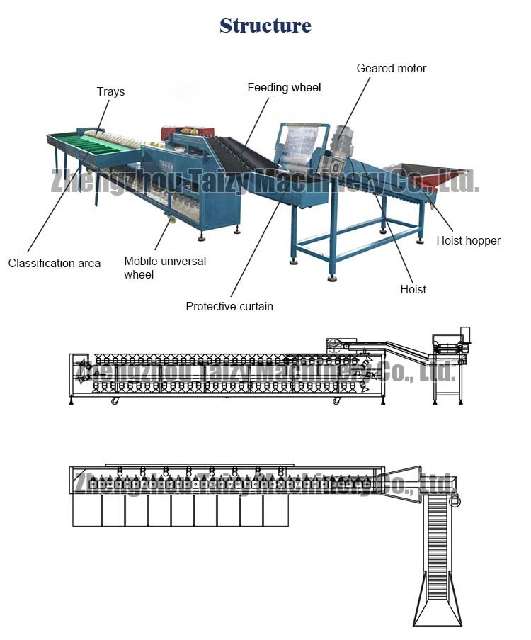 Automatic Avocado Fruit Weight Sorting Machine for Sale