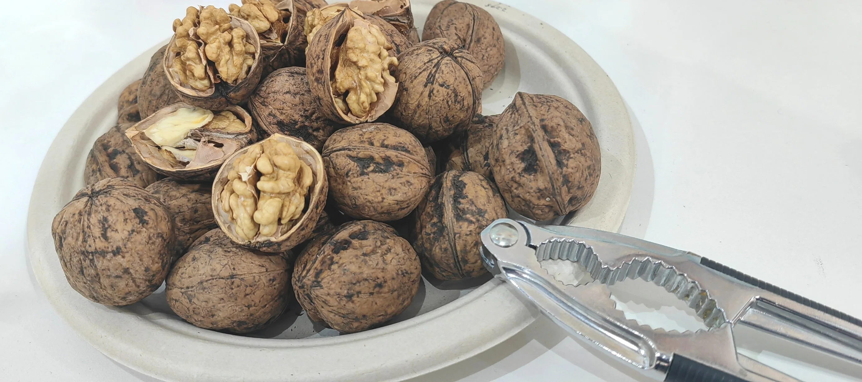 185 Paper Walnut 2023 Year Crop in Wholesale/Supplier Price