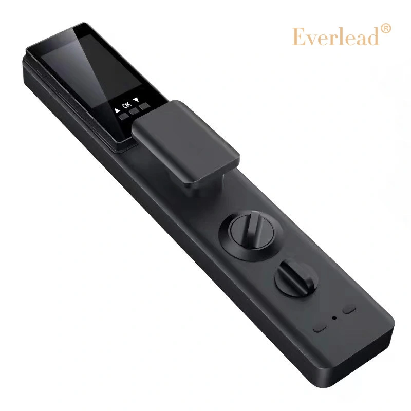 Everlead Smart Home Custom Voice RFID Card Lock APP Fingerabdruck Gate Digital Lock mit Eye Scan