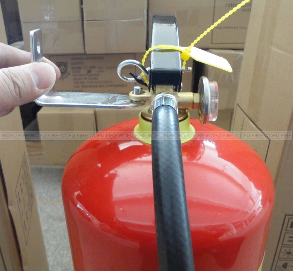 Metal Cylinder 10LTR Foam Fire Extinguisher, Foam Fire Fighting Equipment