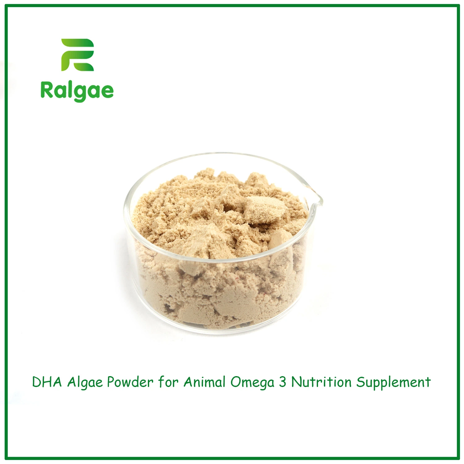 Natural Schizochytrium DHA Algae Powder High DHA 18% for Animal Feed Additive