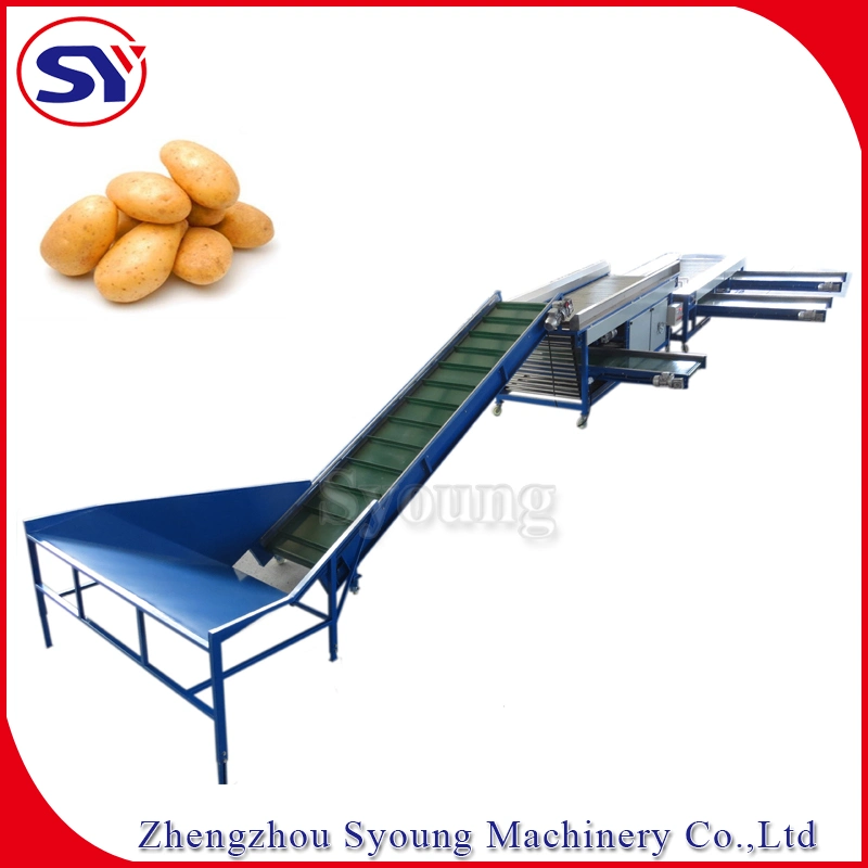 3-7 Grades Automatic Fruit&Vegetable Sorting Grading Machine Roller Type