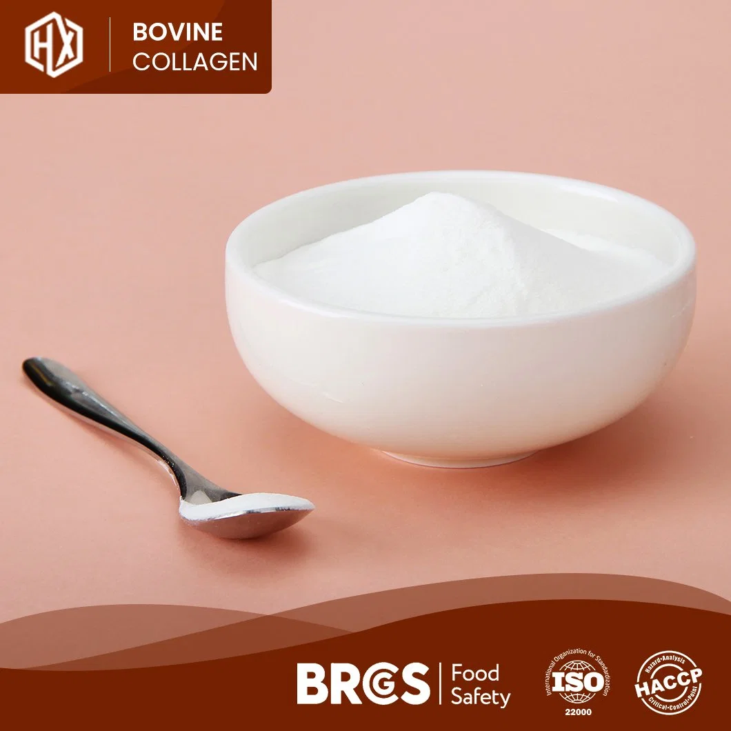 Haoxiang Pincredit Wholesale/Supplier Food Grade Hydrolyzed Bovine Hide Collagen Protein Powder China Suppliers Cheap Price Bovine Hide Hydrolyzed Collagen Peptides