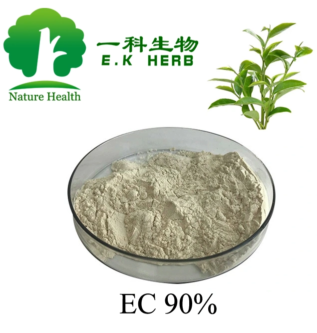 E. K Herb Green Tea Extract Ec CAS 490-46-0 (-) -Epicatechin