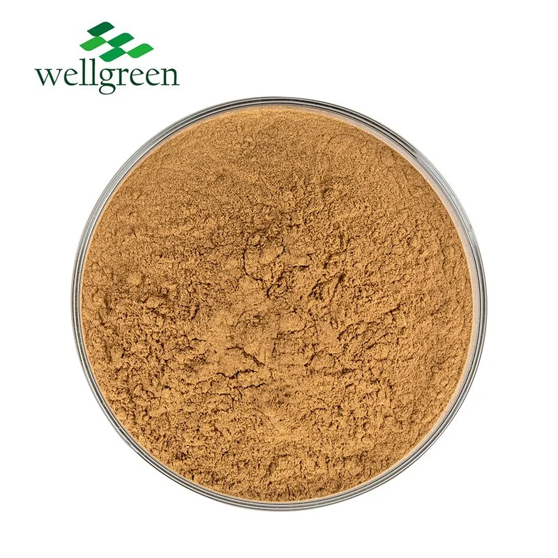 Wellgreen Manufacturer Supply Herbal Murrill Murill Mushroom Powder Agaricus Blazei Extract