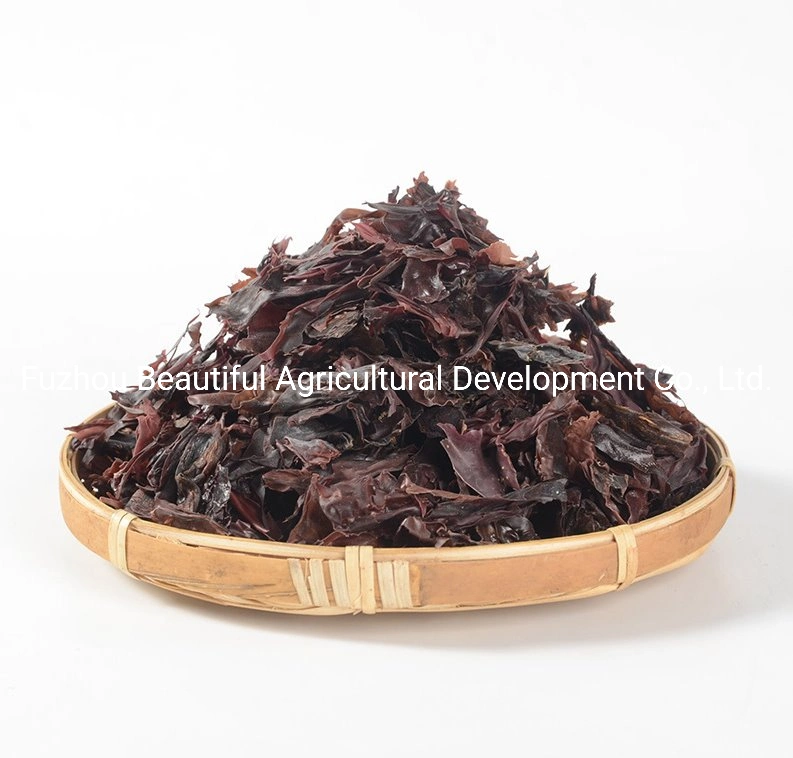 Dried Dulse Flakes/Atlantic Rhodymenia Palmata Factory Direct Sales